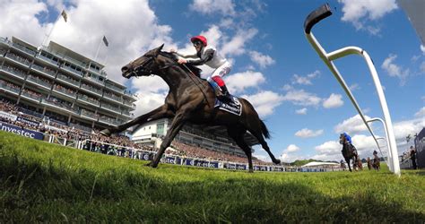 epsom racing tips today|Home .